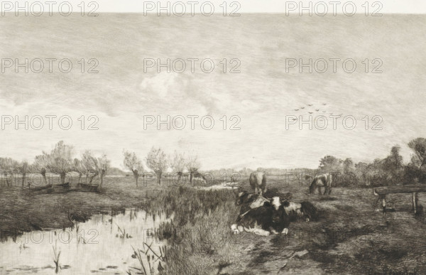 Calendar 1895, Polder landscape with cows, calendar, print, Cows are lying and standing in a meadow along a ditch. On the left, a row of pollard willows., printmaker: Willem Steelink (II), Netherlands, after design by Geo Poggenbeek, publisher: Roeloffzen & Hübner, Amsterdam, 1894, printer (person), paper, etching, letterpress printing, etching and text in letterpress, height 515 mm x width 389 mm, height 231 mm x width 335 mm, meadow, pasture, cow, A wide landscape rendered in monochrome with a large sky occupying most of the scene, textured with fine crosshatched shading and a few soft cloud shapes; beneath the sky a flat marshy plain with a reflective water channel at the left foreground lined with reeds and low grasses; a row of slender trees with sparse foliage stretches across the middle distance toward the left; clusters of darker, denser trees appear on the right horizon; several grazing and resting cows occupy the right foreground and midground, some lying down near the water ...