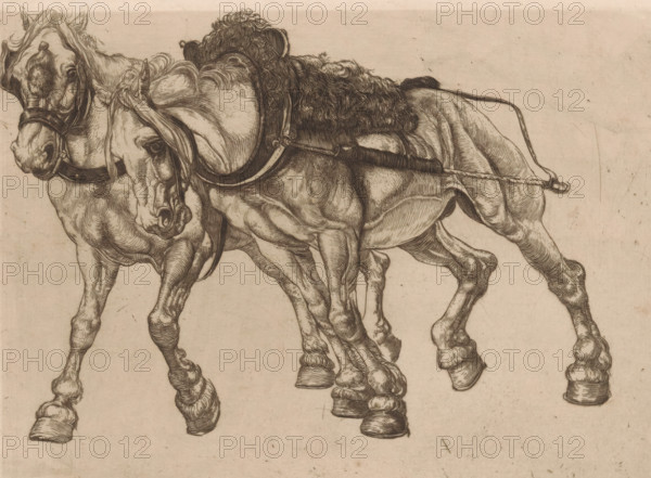 Two tow horses along the Marne, L'Outillage (original series title), print, Two horses pull a barge through the Marne. On verso a sketch., printmaker: Pieter Dupont (signed by artist), Nogent-sur-Marne, 1900, Pieter Dupont, printmaker, paper, etching, intaglio printmaking technique, height 160 mm x width 217 mm, horse, Marne (river), A detailed pen-and-ink drawing shows the front halves of two horses side by side, rendered with fine cross-hatched lines and shading; both horses wear bridles and harness straps, one with a textured padded collar resting on its back; their muscular legs and hooves are depicted with pronounced contours and anatomical detail, manes falling over their faces and necks, and one horse's head turned slightly toward the viewer while the other lowers its head; the background is a plain, lightly speckled paper.