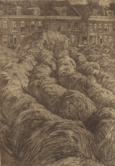 Hooioppers near a city, print, printmaker: Pieter Dupont (signed by artist), 1894-11, paper, zinkets, intaglio printmaking technique, height 210 mm x width 145 mm, city-view, and landscape with man-made constructions, hay-stack, A sepia-toned etching showing a foreground filled with rounded, overlapping mounds of textured, grasslike lines, each mound rendered with dense, curved hatch marks and fine strokes suggesting fibrous surfaces; behind the mounds a row of multistory townhouses with rectangular windows and varied rooflines forms a horizontal backdrop, the building facades depicted with vertical and horizontal linework, window panes and doorways visible, and dormer windows interrupting the sloped roofs.