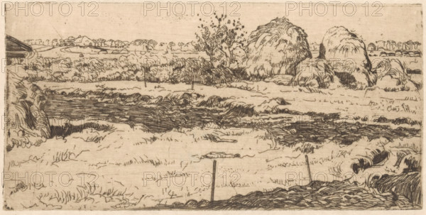 Field with haystacks, print, A piece of land fenced off with posts. On the left, part of a barn. In the background, haystacks., printmaker: Pieter Dupont (signed by artist), Amsterdam, 1895-11, paper, zincets, intaglio printmaking technique, height 102 mm x width 205 mm, meadow, pasture, hay-stack, A sepia-toned landscape sketch showing a flat field with textured grass and low vegetation across the foreground and middle ground, a winding dark water channel or furrow cutting through the scene, irregular clumps of taller grasses and bushes, and rounded haystacks or mounded vegetation grouped toward the right side; a solitary tree with sparse leaves rises near the center behind the water channel, distant low hills and a few hinted buildings sit on the horizon, and simple vertical posts punctuate the field in places, all rendered in fine linear etching strokes on a lightly mottled background.