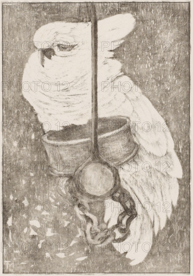 White cockatoo, print, A cockatoo on a chain on a stick., signature: 'Theov Hoytema', printmaker: Theo van Hoytema (signed by artist), 1878 - 1914, paper, chine collé, lithography, blind-stamped, lithography and embossing on chine collé, height 227 mm x width 163 mm, height 239 mm x width 170 mm, ornamental birds: cockatoo, animals tied up, A monochrome drawing of a perched owl with ruffled feathers and a closed eye, shown in profile behind a vertical rod that divides the image; the owl clutches a rounded cup or container attached to a circular ring and a short length of heavy chain, with textured shading and scattered small light shapes in the background.