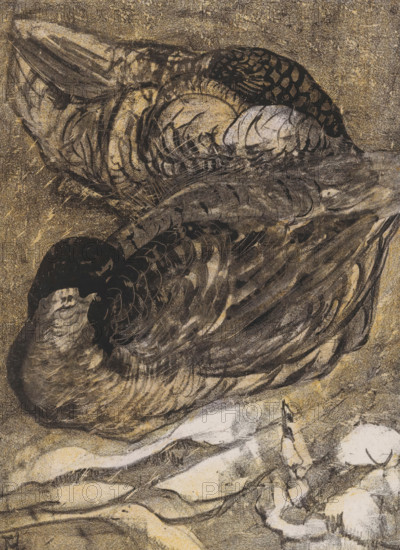 Two sleeping ducks, print, printmaker: Theo van Hoytema (signed by artist), 1878 - 1909, paper, chine collé, color lithography, color lithography on chine collé, proof print, height 220 mm x width 168 mm, height 425 mm x width 298 mm, Print is a test print for calendar page December 1909., water-birds: duck, A close-up view of layered, textured feathers rendered in dark charcoal and warm tan tones, showing overlapping wing and body plumage with intricate line work and shading, a rounded dark head area with lighter markings, scalloped feather patterns near the top, and soft, flowing strokes suggesting movement against a grainy background.