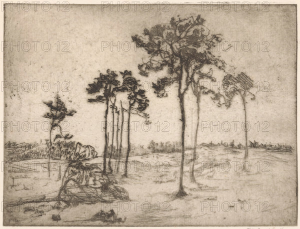 Trees, print, Trees in a rolling sandy landscape., printmaker: Frederika Henriëtte Broeksmit (signed by artist), 1885 - 1931, paper, etching, intaglio printmaking technique, etching with plate tone, proof print, height 150 mm x width 202 mm, sand (soil type), A sepia-toned etching shows a sparse landscape with several tall, thin trees rising from a grassy ground, their trunks rendered with fine vertical lines and their canopies sketched with short, crosshatched strokes; foreground areas contain low, irregular clumps of vegetation and rocky forms drawn with loose curving lines, while the midground features a small stand of slender trees and a winding, uneven terrain marked by faint horizontal and diagonal hatch marks; the sky occupies the upper portion of the image and is rendered as a textured, lightly shaded expanse with scattered speckles and soft tonal variations.