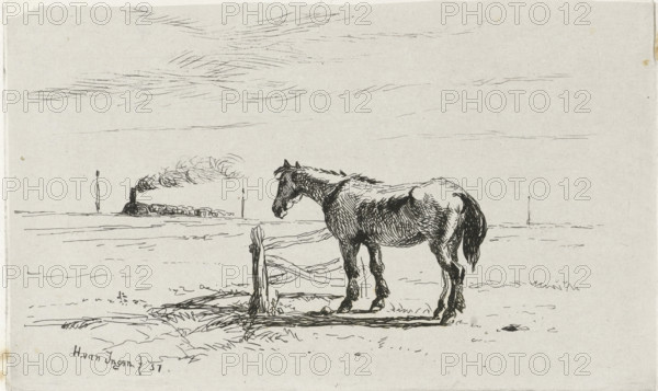 Horse in a meadow, print, Horse by a fence in a meadow. A steam train is driving on the horizon., printmaker: Henry van Ingen, The Hague, Poughkeepsie, 1857, paper, chine collé, etching, etching on chine collé, height 101 mm x width 166 mm, horses and kindred animals, steam locomotive, A pen-and-ink drawing of a horse standing beside a worn wooden post and rail in a flat open landscape, the horse shown in profile with textured shading on its body and mane, its head lowered slightly; in the distant background a small locomotive emits a puff of smoke and there are a few upright posts on the horizon, while the sky above is filled with fine, horizontal sketch lines suggesting clouds.