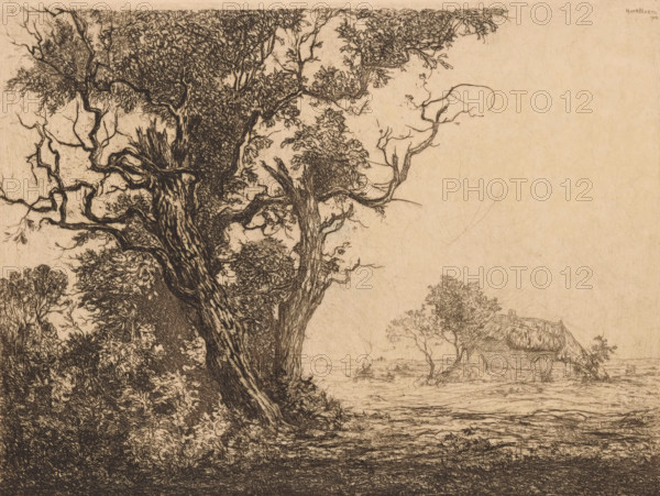 House in heath landscape, print, A house with a thatched roof in an open landscape with a few trees and shrubs., printmaker: Hendrik van Bloem (signed by artist), 1884 - 1936, printer (person), paper, etching, height 219 mm x width 288 mm, farm or solitary house in landscape, plain, A detailed ink drawing of a large, gnarled tree with thick textured bark and twisted branches that spread across the left and upper portions of the image, surrounded by dense foliage and smaller shrubs at its base; to the right, beyond an open, textured ground area, a thatched-roof cottage with a simple structure sits near a few slender trees and low vegetation, while the background shows faint horizontal marks suggesting a distant flat landscape.