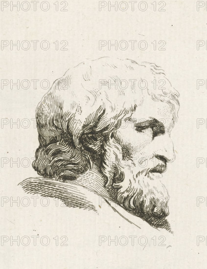Head of a man, print, Head of a man in profile, bareheaded with long hair and beard. Below the image the artist's signature., printmaker: Daniël Jean Guicherit, Northern Netherlands, 1778 - 1813, Daniël Jean Guicherit, printmaker, paper, etching, height 108 mm x width 75 mm, A close-up black ink line drawing of the profile of an older man's head and neck on a light textured background, showing wavy hair swept back from his forehead, a full beard and mustache, a pronounced nose and closed mouth, with fine crosshatching and curved strokes used to define hair, facial contours and shading, and a suggestion of a collar or garment at the base of his neck.