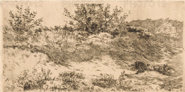 Dune landscape with grasses and shrubs, print, printmaker: Piet Egmond, 1874 - 1908, paper, etching, intaglio printmaking technique, height 110 mm x width 218 mm, dunes (sea not visible), in the dunes, A sepia-toned ink landscape showing a sandy, uneven ground with patches of grass and low shrubs in the foreground, a gently sloping dune or ridge stretching across the middle ground with fine linear shading, and clusters of taller bushes and small trees behind the ridge composed of dense, sketchy branches and leaves. The sky area is largely empty with subtle horizontal marks, while the terrain is detailed with short, directional strokes indicating texture and contours. There are scattered tufts of vegetation and small plants dotting the scene, and the overall composition relies on delicate, crosshatched lines and varied line density to depict depth and form.