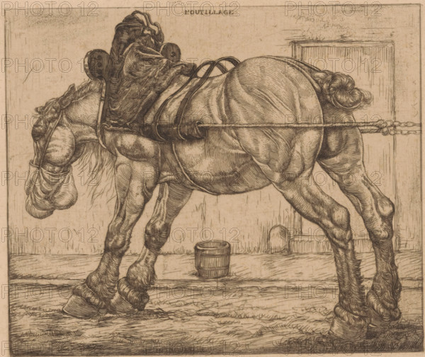 Draft horse with oat sack, L'Outillage (original series title on object), print, The horse is standing next to a sidewalk. On the sidewalk, a feed bucket., printmaker: Pieter Dupont (signed by artist), Paris, 1900, Pieter Dupont, printmaker, paper, etching, intaglio printmaking technique, height 150 mm x width 200 mm, horse, street, A detailed pen-and-ink drawing of a draft horse shown in profile, wearing a harness and bridle, with visible braided mane and tail, muscular legs, and hooves; a padded collar and straps cross its back and connect to traces that extend rearward to a horizontal bar; a small wooden bucket sits on the ground beneath the horse; the scene is framed by a simple rectangular border and shows plank-like floorboards and a vertical panel behind the horse; shading is achieved with fine cross-hatching and parallel lines.