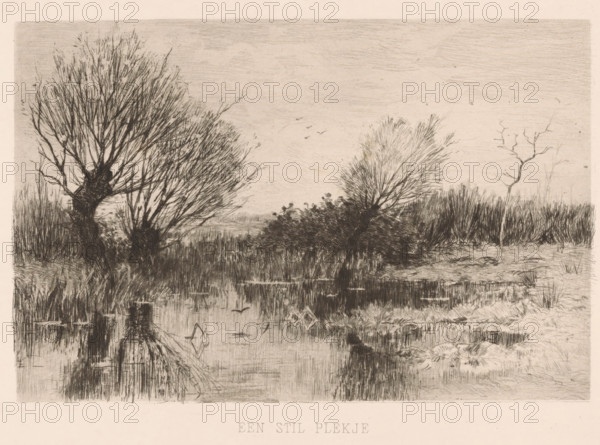 A quiet spot (original title on object), print, Pollard willows by the water., printmaker: Geo Poggenbeek, 1863 - 1903, paper, chine collé, etching, intaglio printmaking technique, etching with plate tone on chine collé, height 174 mm x width 225 mm, water course, trees: willow, A monochrome etching shows a marshy landscape with tall, leafless trees and dense reeds along a still body of water, reflected in the water’s surface; the left side features a large, gnarled tree with many thin branches, the middle ground has a cluster of bushy vegetation and a leaning tree, and the right side shows thinner, more sparse trees and grasses; the sky is lightly textured with faint lines and a few small birds in flight; the foreground includes detailed reflections, scattered reeds, and a muddy shoreline.