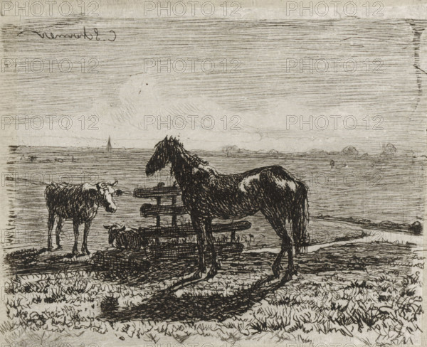 Meadow with a horse and two cows, print, A horse and a cow are standing by a fence in a meadow. A second cow is lying behind the fence., printmaker: Cornelis Albertus Johannes Schermer, The Hague, 1839 - 1915, paper, chine collé, etching, etching on chine collé, height 65 mm x width 80 mm, meadow, pasture, horse, cow, A monochrome etching shows a shoreline scene with a horse standing beside a wooden structure and a cow nearby, both rendered in dark, sketchy lines; the horse casts a long shadow across textured ground covered in grass and small plants, and a calf or small animal lies near the base of the wooden structure; horizontal lines fill the sky and distant horizon, with faint cloud-like shapes, and a small sailboat appears far out on the water; the overall image is detailed with crosshatching and varied line density.