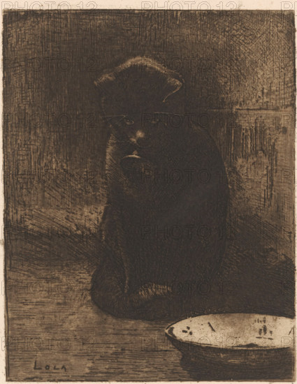 Cat, Lola (original title on object), Cat Lola, print, Sitting cat in front of a bowl., signature: 'Witsen', printmaker: Willem Witsen (signed by artist), c. 1887 - c. 1888, paper, etching, intaglio printmaking technique, height 249 mm x width 179 mm, A dark-toned etching of a seated cat facing forward with its body turned slightly to one side, showing fur texture created by dense crosshatching, a rounded head with visible ears and whiskers, and a lighter patch on its nose; the background and floor are rendered with parallel and crosshatched lines creating a textured rectangular space behind the cat, and a shallow bowl with a lightly shaded interior sits near the cat on the floor.