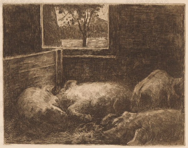 Pigs in a stable, print, printmaker: Eduard Karsen (signed by artist), 1870 - 1941, paper, etching, intaglio printmaking technique, height 190 mm x width 245 mm, pig, stall, stable, A monochrome etching showing a close interior view of an animal stall with textured wooden walls and a small open window revealing tree branches and distant foliage; two large animals lie resting on the floor in the foreground, their bodies rendered with dense crosshatching and curved lines, one showing a curled tail and the other a rounded back and head; the floor area beneath them is marked with scratchy strokes and shaded patches, while the window frame and wall panels display straight, hatched lines creating strong rectangular shapes against the organic forms of the animals.