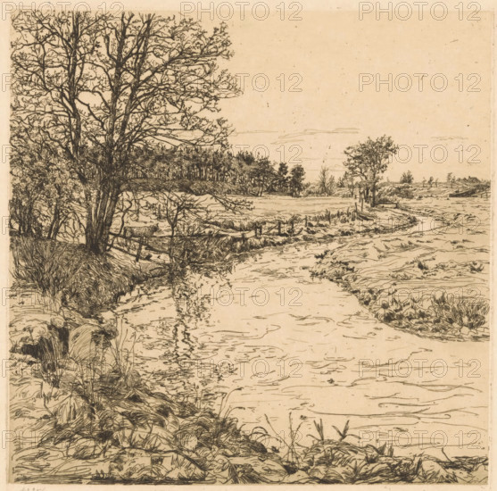 By the Hattemerbeek (original title on object), print, A landscape with a brook near Hattem. On the left, a calf in a meadow, standing by the bank of the brook., printmaker: Gerrit Haverkamp (signed by artist), publisher: Johannes Henricus de Bois, Haarlem, 1882 - 1926, paper, etching, intaglio printmaking technique, height 245 mm x width 248 mm, brook, calf, Hattem, An ink landscape showing a shoreline with a winding waterway, grassy and rocky banks, and detailed vegetation; a large tree with bare branches dominates the left side, smaller trees and bushes appear along the midground, a fence and posts run near the bank, clustered reeds and tufts of grass grow at the water’s edge, the surface of the water is marked with thin fluid lines and ripples, distant trees and low structures sit on the horizon, and the sky is mostly blank with a few faint horizontal cloud lines.
