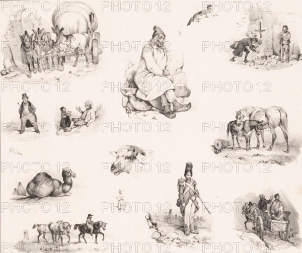 Thirteen scenes from daily life with various human figures and animals, Croquades, Sketches of various subjects, Croquades par V. Adam, print, Series number, 32, 36, printmaker: Victor Adam, Paris, printer (person): Joseph Rose Lemercier, publisher: Aumont & Cie, publisher: Charles Tilt, London, 1833, printer (person), paper, lithography, lithografie, height 278 mm x width 362 mm, hoofed animals: dromedary, the soldier, the soldier's life, horse, riding a horse, ass, or mule, rider, horseman, (farm) wagon, freight wagon, cart, accidental death by falling objects, A light-toned sheet filled with small detailed pencil sketches including a seated older man in simple robes and a cap perched on a pile of sacks, a group of three pack animals hitched to a covered wagon, a reclining fox, a man bending to examine rubble beside a standing boy holding a long staff, a mare nuzzling a smaller equine near a barrel, a large reclining camel, a sheep head in profile, a mounted soldier in uniform carryi...