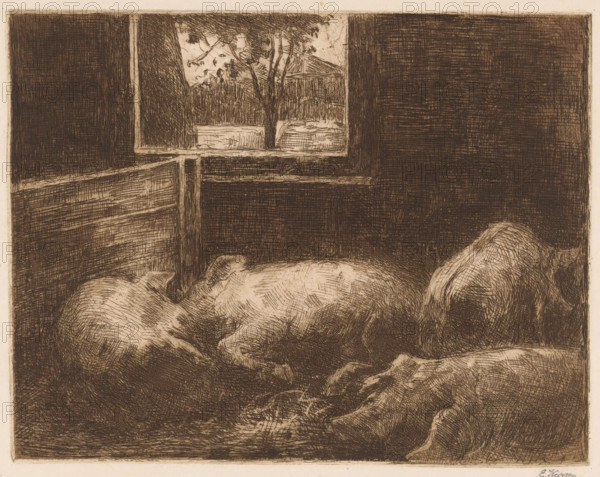 Pigs in a stable, print, printmaker: Eduard Karsen (signed by artist), 1870 - 1941, paper, etching, intaglio printmaking technique, height 190 mm x width 245 mm, pig, stall, stable, A dark, heavily crosshatched interior scene with the rounded forms of resting animals filling the lower foreground, their textured bodies rendered in dense, short strokes; a wooden partition and window frame sit behind them, with a view through the window showing a tree with branches and leaves and a roofline beyond, all depicted in the same etched, linear style.