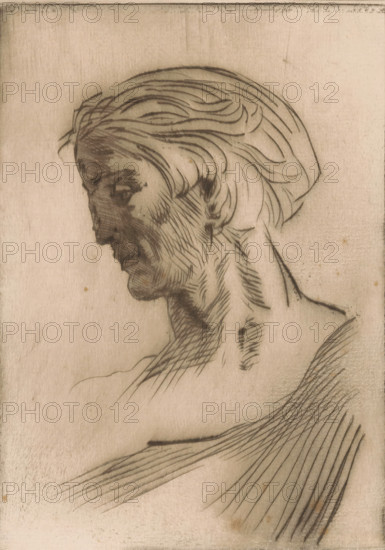 Portrait of an unknown man, print, printmaker: Willem van Konijnenburg (signed by artist), printer (person): Henri van der Stok, 1878 - 1943, printer (person), paper, drypoint, intaglio printmaking technique, height 180 mm x width 126 mm, anonymous historical person portrayed, A sepia-toned sketch of a male head and upper torso in profile facing left, with hair swept back in flowing curved lines, a defined brow, prominent nose, closed mouth, and textured shading on the cheek and neck using short hatch marks, an ear partially visible, a strong angular jaw, and long curved contour lines extending across the shoulder and upper chest against a plain, slightly mottled background.