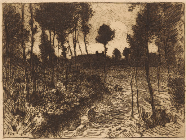 Forest path at evening, print, printmaker: Anton L. Koster, 1869 - 1937, paper, etching, intaglio printmaking technique, height 155 mm x width 207 mm, forest path or lane, evening, A monochrome etching of a wooded landscape showing tall slender tree trunks and dense leafy canopies framing a winding river or stream that flows from the foreground toward the middle distance, with textured grassy and shrubby banks, tangled undergrowth, and areas of crosshatched shadow. The sky is lightly marked with swirling lines and there is a darker silhouette of trees atop a distant ridge, while closer trees cast intricate linear patterns across the water and ground. The image is composed of fine, overlapping line work and varied hatching that create depth and contrast between the darker foliage and the paler sky and water.