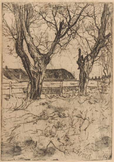 Two pollard willows in front of a fence, print, Houses in the background., printmaker: Pieter Dupont (signed by artist), Netherlands, 1880 - 1911, paper, zincets, intaglio printmaking technique, height 193 mm x width 137 mm, fence, wall, paling, trees: willow, A monochrome etching showing the trunks and bare branches of trees in the foreground, with textured bark and knobby growths, a horizontal fence running behind them, and rooftops with dormer windows visible beyond the fence; the ground in front is scrawled with lines and marks suggesting grass, leaves, and irregular patches, while the sky area is filled with fine, crosshatched strokes and scattered scratches.