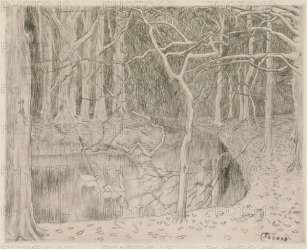 Forest with pond and swans, Pond and forest in winter, Westhoven (original title), print, dedication: 'To Annie and Remy de Block, from J. Th. Toorop 1908.', printmaker: Jan Toorop (signed by artist), dedicated to: Annie de Block (signed by artist), dedicated to: Remy de Block (signed by artist), 1895, paper, drypoint, intaglio printmaking technique, drypoint with plate tone on zinc, height 160 mm x width 201 mm, The print is believed to depict the forest 'De Manteling', near Domburg. Possibly on the grounds of Westhove Castle., forest, wood, water-birds: swan, pond, pool, Domburg (Zeeland), Oostkapelle, Westhove Castle, A pencil drawing of a wooded scene showing many tree trunks and a network of bare branches in the foreground and background, a winding path along one side scattered with fallen leaves, a body of water reflecting branches and trunks, fine vertical and cross-hatched shading indicating depth and texture, and a cluster of leaves and small twigs drawn along the ground.