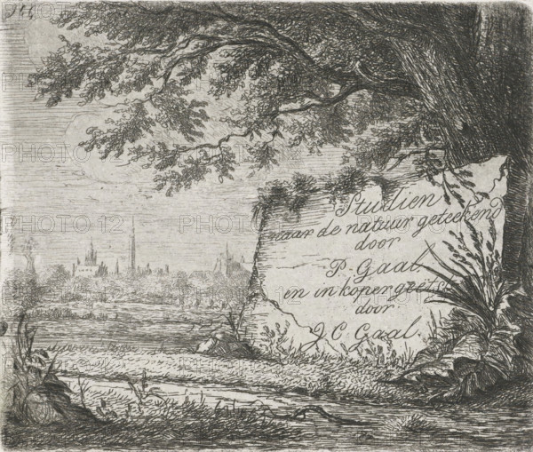 Title print for: Studies drawn from nature, print, title print, Landscape with a village in the distance. Under a tree a stone with the title., printmaker: Jacobus Cornelis Gaal, The Hague, after drawing by Pieter Gaal, c. 1851, paper, chine collé, etching, etching on chine collé, height 95 mm x width 112 mm, landscapes in the temperate zone, A detailed monochrome etching shows a riverside scene with overhanging tree branches and dense foliage on the right, a textured tree trunk leaning into the frame, and grasses and plants along the bank. The foreground contains a water surface with ripples and reflected lines, edged by reeds and low vegetation. In the middle distance a broad flat landscape stretches toward a skyline of clustered spires and building outlines. The sky area is filled with fine horizontal hatch marks and faint circular shading behind the foliage. The composition is rendered with intricate crosshatching and delicate line work throughout.