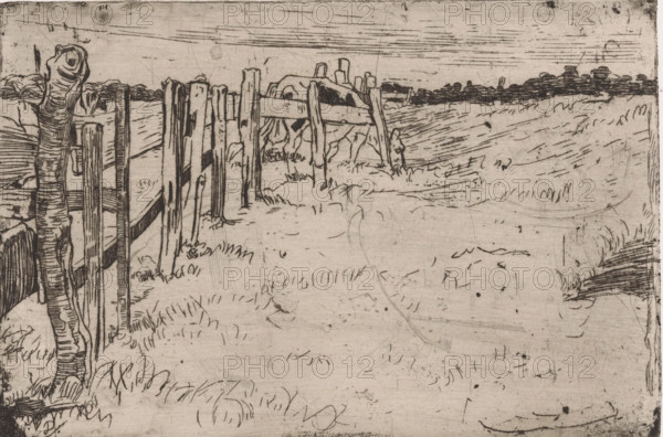 Grazing cow by a fence in a meadow, print, printmaker: Pieter Dupont, North Holland, 1895, paper, zincets, intaglio printmaking technique, height 128 mm x width 191 mm, meadow, pasture, fence, wall, paling, cow, A monochrome etching showing a rural landscape with a worn wooden fence running from the foreground into the middle distance, irregular posts and rails rendered with rough, swirling lines; grassy ground with sketched tufts and patches surrounds the fence, and faint linear marks suggest distant fields and a low hedge on the horizon under a sky with horizontal hatch marks.