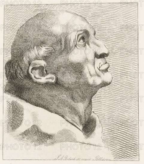 Head of an old man with tonsure, A Monk's Head (former title), print, signature: 'JA Boland 15 January 1860', printmaker: Johannes Arnoldus Boland (signed by artist), Amsterdam, after design by Polidoro da Caravaggio, after design by Polidoro da Caravaggio (attributed to), 1860-01-15, Johannes Arnoldus Boland, Polidoro da Caravaggio, printmaker, after design by, Attributed to, paper, etching, height 234 mm x width 230 mm, monk(s), friar(s), A detailed pen-and-ink profile of a bald male head turned upward, showing a pronounced forehead, brow, nose, lips, chin, and ear, rendered with dense cross-hatching and fine lines for shading and texture against a background of diagonal cross-hatched lines.