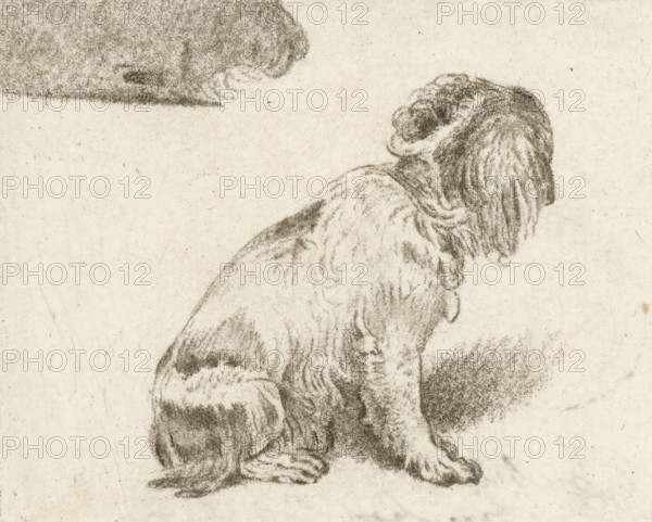 Sitting dog, print, inscription: '2 proef FvMieris del PvAmstel JC. F: 1775', printmaker: Cornelis Brouwer, after drawing by Frans van Mieris, 1775 - 1777, Cornelis Ploos van Amstel, supervision, Amsterdam, paper, crayon manner, transfer print, etching in crayon manner, height 71 mm x width 88 mm, dog, A charcoal or pencil sketch of a seated dog shown in profile facing right, with long, wavy fur on its head, ears, and body, textured shading defining the contours of its back, legs, and tail, and a shaded ground area beneath it, all on a plain, lightly speckled paper background.