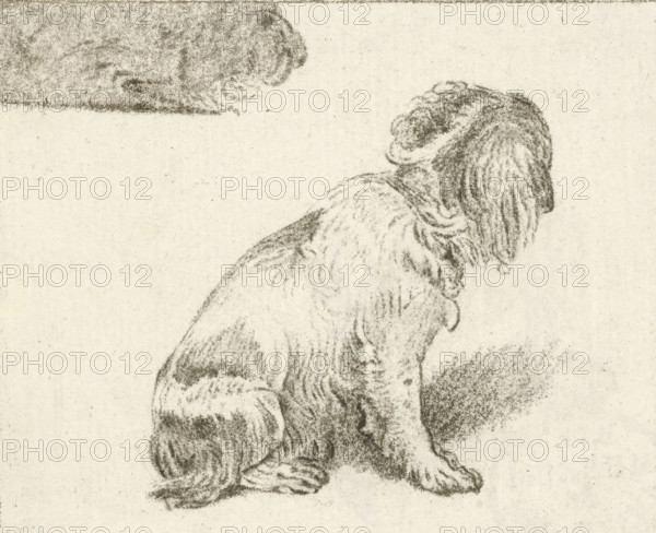 Sitting dog, print, printmaker: Cornelis Brouwer, after drawing by Frans van Mieris, publisher: Cornelis Ploos van Amstel, 1777, supervision, Amsterdam, paper, print drawing, crayon manner, transfer print, etching in crayon manner, height 71 mm x width 87 mm, dog, A sepia-toned pencil or charcoal sketch of a seated dog shown in profile facing right, with long, wavy fur and floppy ears, the head turned slightly upward, textured shading indicating fur on the body, legs, and tail, and a faint shaded area above the dog suggesting another sketched form.
