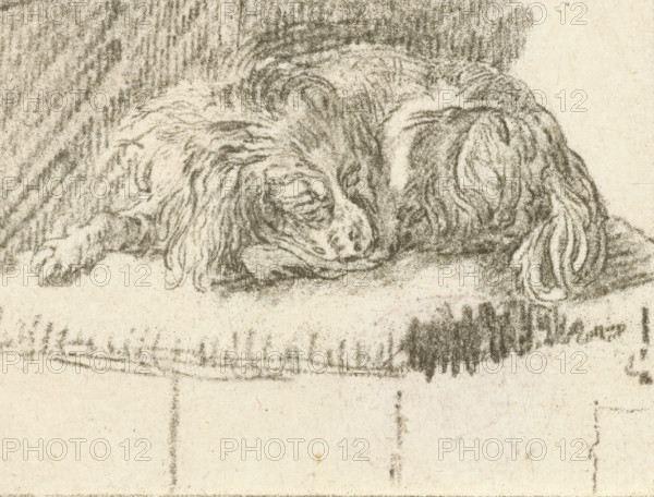 Lying dog, print, printmaker: Cornelis Brouwer, after drawing by Frans van Mieris, 1777, Cornelis Ploos van Amstel, supervision, Amsterdam, paper, print drawing, crayon manner, transfer print, etching in crayon manner, proof print, height 75 mm x width 91 mm, dog, A charcoal or pencil sketch of a sleeping dog curled on a flat surface, showing textured fur and a relaxed face with closed eyes and drooping ears, shaded background behind the dog and faint sketch marks on the area below the surface.