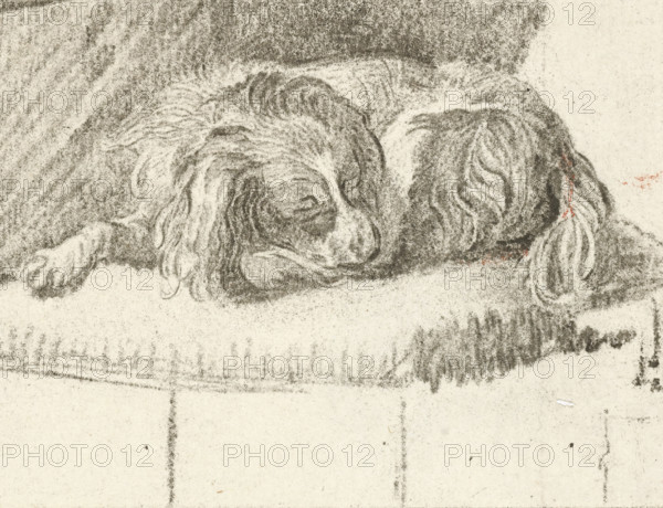 Lying dog, print, printmaker: Cornelis Brouwer, after drawing by Frans van Mieris, publisher: Cornelis Ploos van Amstel, 1777, supervision, Amsterdam, paper, print drawing, crayon manner, transfer print, etching in crayon manner, height 73 mm x width 90 mm, dog, A charcoal or pencil sketch of a dog lying down with its head resting on its front paw, showing long, wavy fur and closed eyes, with shaded areas indicating the contours of its body and a textured background.