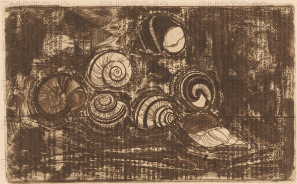 Seven shells, print, Text fragments in the background., printmaker: Reijer Stolk (signed by artist), Netherlands, 1942, paper, etching, intaglio printmaking technique, height 114 mm x width 185 mm, molluscs (shell, snail-shell etc.), A sepia-toned print filled with various spiral seashell shapes arranged across a textured background, each shell showing distinct curved ridges and banded patterns; some shells are tightly wound into spirals while others have broader whorls and visible inner chambers, and one elongated shell with flowing lines lies near the lower edge; the background is densely marked with crosshatching, smudges, and layered strokes that create a worn, mottled surface surrounding the shells.