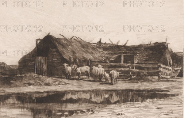 Drenthe sheepfold, print, inscription: 'distel 1886', printmaker: Nicolaas van der Waay, 1865 - 1936, paper, chine collé, etching, intaglio printmaking technique, drypoint, height 175 mm x width 230 mm, stall, stable, piglet, suckling pig, Drenthe, A sketch of a rustic thatched structure with rough wooden fencing and an open doorway sits near a body of water, with several sheep gathered in front of the enclosure. The thatch roof shows uneven, textured strokes and protruding beams, and the wooden planks and rails of the fence appear weathered and irregular. The ground in front of the building is marked with linear shading and tracks, and the water below reflects a dark, blurred mirror image of the scene above. The sky is rendered with fine horizontal hatch lines, creating a pale, textured backdrop.
