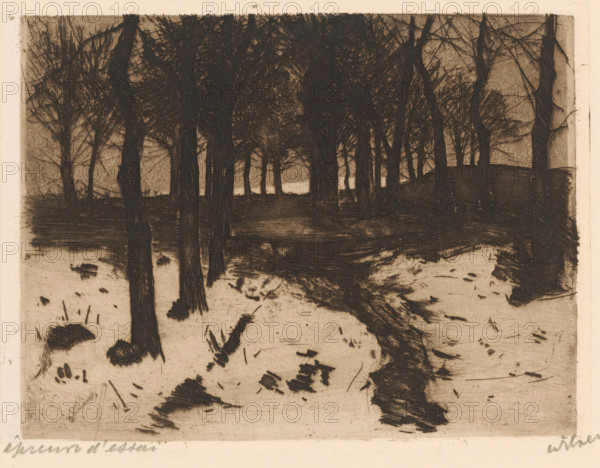 Landscape with trees in Ewijkshoeve, print, signature: 'Witsen', printmaker: Willem Witsen (signed by artist), Ewijkshoeve (Den Dolder), c. 1886, 1908, Den Dolder, paper, chine collé, etching, aquatint, intaglio printmaking technique, plate tone and aquatint, proof print, height 119 mm x width 160 mm, landscapes in the temperate zone, trees, A monochrome etching shows a wooded scene with dark tree trunks rising from a lighter ground, dense overlapping branches forming a shadowed canopy, a narrow winding path or stream cutting through the foreground toward a lighter area between the trees in the distance, scattered rough patches and marks on the ground, and vertical trunks and slender saplings extending across the composition with textured hatch marks creating contrast.