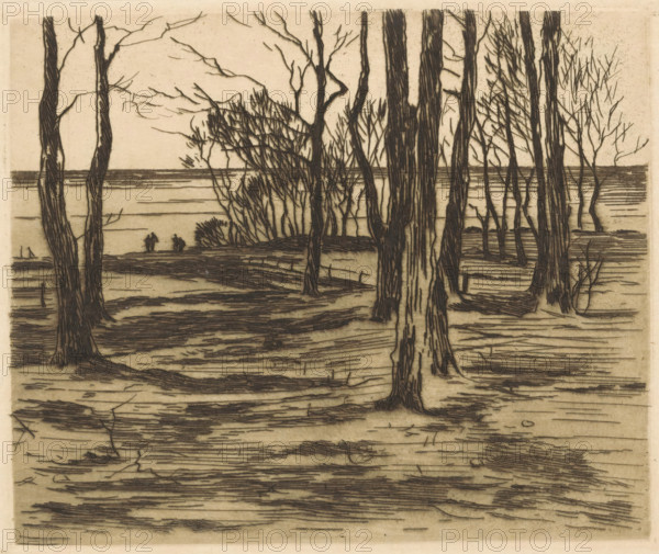 Trees by the waterside in Valkeveen, print, printmaker: Willem Witsen, Amsterdam, c. 1913, paper, etching, intaglio printmaking technique, height 150 mm x width 178 mm, trees, landscapes with waters, waterscapes, seascapes (in the temperate zone), Valkeveen, A monochrome etching showing a grove of tall, bare trees with textured trunks and thin branches, set against a flat, lightly shaded background that suggests distant horizontal lines. The foreground shows ground marked by layered, horizontal hatch strokes and scattered small twigs, with tree roots and bases visible. Midground trees cluster more densely, their thin branches interweaving and creating dark, linear patterns, while a small grouping of tiny human-like silhouettes stands near the waterline in the distance. The overall palette is sepia-toned with dark linear ink marks forming the trees and ground, and the composition emphasizes vertical tree trunks contrasted with horizontal banding in the background.