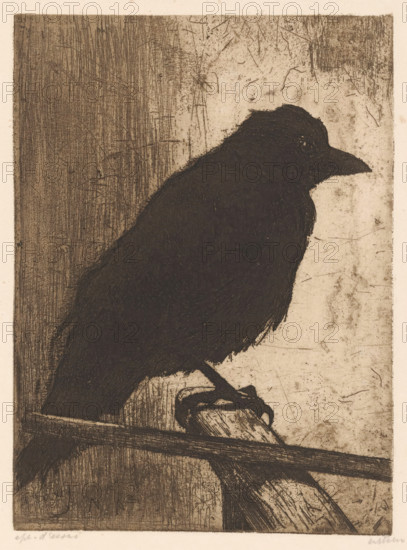 Ina (original title on object), Crow Ina, print, watermark:, signature: 'Witsen', inscription: 'epr. d'essai', printmaker: Willem Witsen (signed by artist), c. 1887 - c. 1888, Willem Witsen, printmaker, paper, etching, intaglio printmaking technique, etching with plate tone, proof print, height 249 mm x width 178 mm, song-birds: crow, A dark, textured silhouette of a perched bird fills the center of the image, showing a rounded head, pointed beak, and layered feather details, with one claw gripping a curved branch or perch. The background is a worn, scratched surface with vertical and diagonal etched lines on one side and lighter, mottled areas on the other, creating contrast with the bird's dark form. The perch extends horizontally and there are visible crosshatched and scratched marks throughout the composition, giving an overall aged, etched appearance.