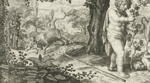 Bacchus and Ampelus, print, book illustration, Bacchus' favorite Ampelus is killed in a fall from a bull, whereupon he is transformed into a grapevine. Book illustration for: Lof-sanck van Bacchus, 1616., printmaker: Jacob Matham, after design by David Vinckboons, publisher: Willem Janszoon Blaeu, Amsterdam, 1616, Jacob Matham, David Vinckboons, Willem Janszoon Blaeu, printmaker, after design by, publisher, paper, engraving, letterpress printing, engraving and book printing verso, height 77 mm x width 128 mm, Book illustration for: Heinsius, Daniel edited by Petrus Scriverius. Nederduytsche poemata. vol. 3: Hymnus of the Praise of Bacchus, Waerin'tgebruyck and the abuse of the Wine is described. Amsterdam: Willem Jansz Blaeu, Ampelus dies after falling from a bull, Ampelus changed into a vine: after having fallen to his death from a bull, Ampelus, the favorite of Bacchus, is changed into a vine, A detailed engraving shows a pastoral scene with a large tree trunk at center right and den...