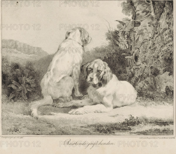 Resting hunting dogs, print, One dog sits with its back to the viewer, the second dog lies on the ground. To the right of the animals various plants and a puddle of water., printmaker: Gijsbertus Craeyvanger, Netherlands, printer (person): Desguerrois & Co., Amsterdam, 1820 - 1895, printer (person), paper, lithography, height 240 mm x width 315 mm, This print probably formed part of the series: 'Outdoor Studies from Life' published in 1827 by Ambroise Jobard who was succeeded by Desguerrois & Co. See Swillens in Jaarboek Oud Utrecht., pool, puddle, hunting dogs (out of doors (sports, animals)), A detailed pencil or charcoal drawing shows two dogs resting on a grassy ground with foliage and bushes around them, one dog lying down facing forward with a calm expression and long ears, the other sitting with its back mostly toward the viewer and head turned to the side, both animals rendered with textured fur; the background includes dense vegetation, tall plants, and distant rolling landsca...