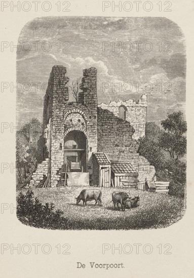 The Front Gate, Front Gate of the Ruins of Brederode Castle, print, book illustration, printmaker: Isaac Weissenbruch, Netherlands, after design by Johannes Henderikus Morriën, publisher: Gebroeders van Es, Amsterdam, 1861, paper, wood engraving, letterpress printing, wood engraving and text in letterpress, height 228 mm x width 187 mm, A detailed black and white engraving shows a ruined stone gateway with two crumbling vertical sections and an arched central opening; remnants of masonry and stacked stones flank the arch and a wooden wheelbarrow and crate sit inside the opening. Small outbuildings with tiled roofs and a low fence stand beside the ruin, and trees and shrubbery appear at the edges of the scene. In the foreground three grazing cows occupy a grassy area, one standing apart and two nearer each other with one appearing to lie down. The sky above is filled with dense horizontal line shading suggesting clouded texture.