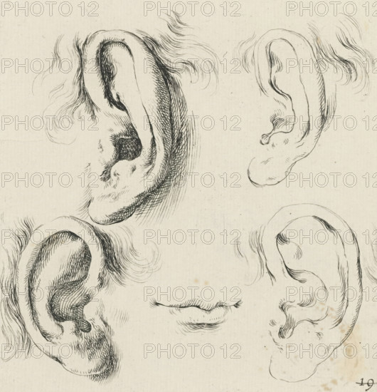 Four ears and a mouth, Collection of various pieces serving the art of portraiture, Drawing examples for portraits, print, Series number, 19, 38, printmaker: Stefano della Bella, France, publisher: François Langlois, Paris, grantor of privilege: French Crown, 1620 - 1647, paper, etching, height 112 mm x width 110 mm, A series of ink sketches on aged paper showing multiple detailed human ears and a pair of lips, each ear drawn with curved lines, shading, and fine hairlike strokes, arranged around the page with varied orientations and surrounded by wisps of hair and subtle textured marks.