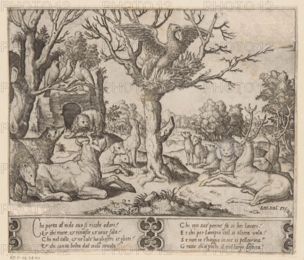 Phoenix, print, A self-immolating phoenix in a tree, surrounded by other animals including bears, dogs, and deer. Italian text in two columns in the bottom margin., printmaker: Master of the Dice, Italy, after design by Raphael (possibly), publisher: Antonio Salamanca, c. 1530 - c. 1560, paper, engraving, intaglio printmaking technique, engraving with plate tone, height 188 mm x width 222 mm, Top right corner torn off and filled in with paper, colored with pen in gray and brown., fabulous animals, A detailed monochrome etching shows a scene with many animals gathered beneath and around bare-branched trees, including a large bird perched in a nest on a central tree with wings partially spread, several birds perched on a branch to the left, and various mammals on the ground such as reclining and standing dogs, a lion near a stone structure with an arched opening, and deer with antlers among them; the landscape includes clustered trees and distant foliage, textured ground with grasses and...