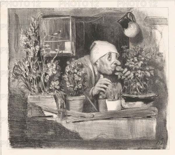 L'Odorat, Old man smells a rose on his balcony, Parisian types, Types Parisiens, cartoon, Series number, 38, 50, printmaker: Honoré Daumier, Paris, printer (person): Aubert & Cie., publisher: Bauger, 1843, Honoré Daumier, Aubert & Cie., Bauger, printmaker, printer (person), publisher, paper, lithography, lithografie, height 246 mm x width 325 mm, Print used for: La Caricature (2nd series) no. 38, July 21, 1839, and for: Le Charivari, January 18, 1843. This state was published in Le Charivari., balcony, caricatures (human types), potted plants, smell, smelling (one of the five senses), A charcoal or pencil drawing of an elderly person leaning forward behind a ledge filled with potted plants and flowers, wearing a simple head covering and a heavy coat, with a hand resting on a round object; to the left a tall arrangement of flowers and a birdcage with perches and a small bird inside; to the right a hanging vessel and more foliage arranged around shallow bowls on the ledge, all rendered w...