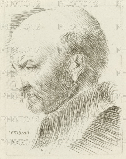 Head of an old man bald on top in profile, print, printmaker: Honoré Coussin, France, after design by Rembrandt van Rijn, 1708 - 1779, paper, etching, height 95 mm x width 74 mm, old man, baldness, moustache, A close-up pen-and-ink drawing of a man's head in profile facing left, showing a high forehead with receding hair, a furrowed brow, a downcast eye with detailed lashes, a prominent nose, and a full beard and mustache rendered with fine, directional lines; the ear is visible and the hair at the back of the head is textured with looping strokes, while the neck and shoulder area are suggested by dense parallel hatching and curved strokes on a light, textured background.