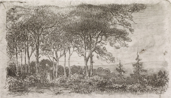 Woman by a row of trees, print, A wooded landscape with a woman with a basket on her back in the foreground on the left., printmaker: Jacob Jan van der Maaten, Netherlands, 1830 - 1879, paper, chine collé, etching, etching on chine collé, proof print, height 51 mm x width 86 mm, trees, forest, wood (landscape with figures, staffage), A monochrome drawing of a wooded landscape showing a cluster of tall trees with dense, textured canopies and slender trunks rising from a foreground of low shrubs and grasses, the foliage rendered with fine, repeated lines and short strokes; a few isolated coniferous trees with tiered branches stand to the right, and a faint horizontal expanse suggesting distant terrain or water lies behind the trees, with subtle linear shading in the sky above.