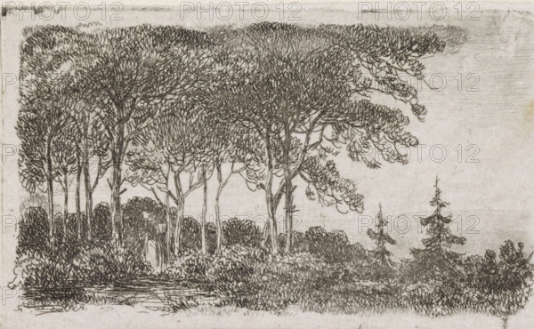 Woman by a row of trees, print, A wooded landscape with a woman with a basket on her back in the foreground on the left., printmaker: Jacob Jan van der Maaten, Netherlands, 1830 - 1879, paper, chine collé, etching, etching on chine collé, height 51 mm x width 86 mm, trees, forest, wood (landscape with figures, staffage), A horizontal pencil or ink drawing of a wooded landscape showing a dense group of tall trees with detailed canopies and slender trunks on the left and center, smaller coniferous trees on the right, and layered shrubbery and undergrowth beneath them; the foreground includes a textured grassy or marshy area with horizontal strokes suggesting water or ground, while the sky area above is left mostly empty with faint horizontal shading and narrow border lines along the top and sides.