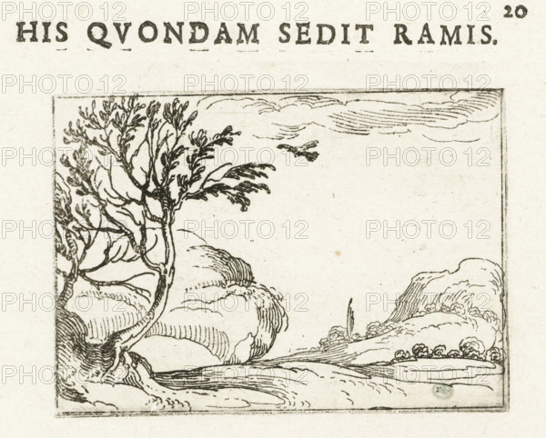 Dove in the desert, His quondam sedit ramis, Life of Mary in Emblems, print, cognizance, Series number, 20, 26, Representation of a dove flying over a barren and desolate landscape towards a tree. Above and below this print are Latin and French texts in letterpress. This sheet is part of the emblem series 'Life of Mary in Emblems'. The first state of this series comprises, besides a title page and 26 emblems, also three sheets with hymns to Mary in letterpress without illustration., printmaker: Jacques Callot, Nancy, publisher: Anthoine Charlot, France, 1625 - 1629, paper, etching, letterpress printing, etching and letterpress, height 58 mm x width 82 mm, height 147 mm x width 123 mm, other birds: dove, desert, A rectangular black ink illustration shows a landscape with a large tree on the left whose trunk and branches are drawn with fine lines and leafy clusters, rounded cloudlike rock or foliage forms behind and below the tree, a small bird in flight near the top center, a curved sho...