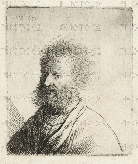 Man with square beard and curly hair: bust, print, Old man with a beard and curly hair., printmaker: Rembrandt van Rijn, Netherlands, c. 1631, paper, etching, height 57 mm x width 49 mm, old man (three-quarter view), A close view of a drawn or etched portrait of an older man shown in profile, featuring a dense, curly beard and unruly wavy hair, with fine, dark linework defining facial features and hair texture, a prominent nose and a visible eye looking forward, a layered collar or scarf around his neck and simple clothing sketched with crosshatching and parallel lines, all set against a lightly textured, aged paper background with a faint rectangular border around the image.