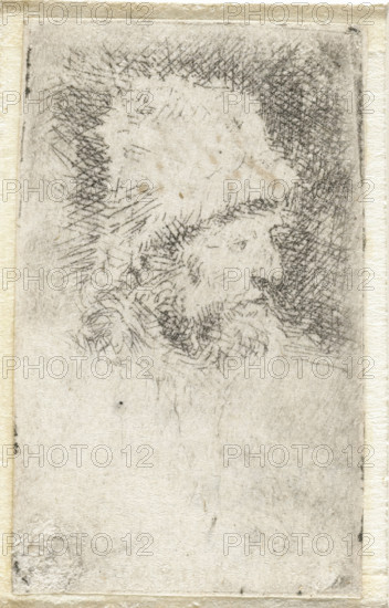 Man with a fur hat, print, Head of a man with a beard and a fur hat on., inscription: 'J:Bu', printmaker: attributed to Willem Drost, Netherlands, printmaker: Rembrandt van Rijn, 1650 - 1655, Attributed to, paper, etching, height 49 mm x width 30 mm, head (human), head-gear (with NAME), A narrow, vertical sketch on aged paper shows a profile of a man's head facing right, rendered with fine, crosshatched pencil or ink lines; his hair is short and textured, and he has a beard and mustache made of short, overlapping strokes, with darker crosshatching behind and around his face creating a shaded background; the paper has a rough, fibrous surface with visible creases, small stains, and uneven edges, and a faint rectangular border is visible around the sketch area.