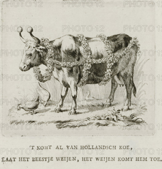 Dutch cow, 1787, print, book illustration, The Dutch cow, decorated as an Easter cow or guild ox with festoons, garlands, and balls on the horns. With a two-line caption., printmaker: Jan Gerritsz. Visser, Northern Netherlands, after design by Johannes le Francq van Berkhey (attributed to), Attributed to, paper, etching, engraving, letterpress printing, engraving and letterpress, height 96 mm x width 87 mm, Used as an illustration in: Johannes le Francq van Berkhey. The Political Dutch Cow Market. Or Conversation, between a spy, and a farmer. Slsn 1787., Person, prize-ox, Patriottentijd (1780-1795), Period, A detailed ink drawing of a cow standing on grass, shown in profile facing left and wearing garlands of flowers draped over its body and around its neck, with rounded tipped horns and textured fur shading; a bird pecks at the ground near the cow’s front legs and another water bird stands in the background among tall grassy plants, with decorative foliage and ground details beneath t...