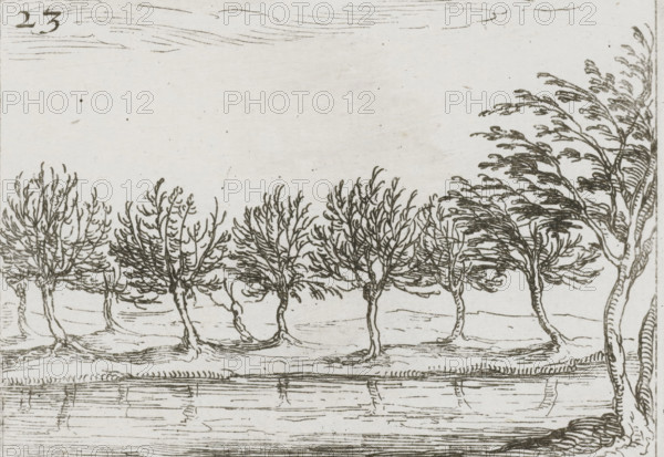 Tutior inter fletus, quam risus castimonia, Les pleurs mieux que les ris conferuent l'Ame pure, Willows along a bank, Monastic life in emblems, print, cognizance, Series number, 23, 27, Representation of a row of willows along a bank. Above and below this print are Latin and French texts in letterpress. This sheet is part of the emblem series 'Monastic life in emblems'. The second edition of this series contains, in addition to an illustrated title page and 26 emblems, a title page and a sheet with dedication, both in letterpress without image., printmaker: Jacques Callot, Nancy, after design by Jacques Callot, publisher: François Langlois, Paris, 1621 - 1635, 1646, Jacques Callot, François Langlois, printmaker, publisher, paper, etching, letterpress printing, etching and letterpress printing, height 60 mm x width 80 mm, height 144 mm x width 111 mm, trees: willow, A horizontal pen-and-ink drawing of a row of leafless trees with thin trunks and many fine, twisting branches standing alo...