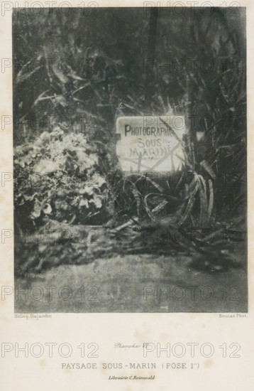 View of the Laboratoire Arago in Banyuls-sur-Mer, The laboratory ensemble with the embarcations visible in the vivier, page, photomechanical print, number: 'Fig. 18.', France, c. 1890 - in or before 1900, paper, autotypie, height 102 mm x width 143 mm, gulf, bay, façade (of house or building), Banyuls-sur-Mer, Laboratoire Arago, A grainy monochrome photograph showing a dark, textured background of foliage and branches with a lighter irregular mass of vegetation on the left and a rectangular board or sign propped among plants toward the center-right, partially obscured by grasses and stems, with a foreground of indistinct ground and scattered plant forms.